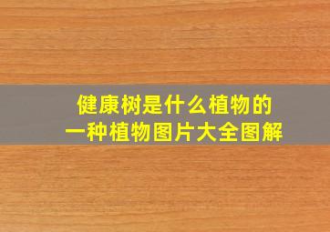 健康树是什么植物的一种植物图片大全图解