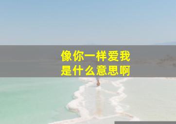 像你一样爱我是什么意思啊