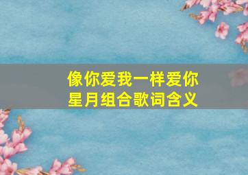 像你爱我一样爱你星月组合歌词含义