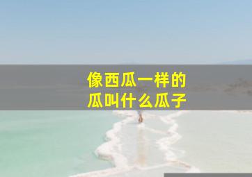 像西瓜一样的瓜叫什么瓜子