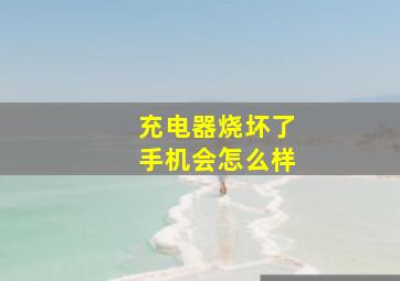 充电器烧坏了手机会怎么样