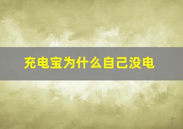 充电宝为什么自己没电