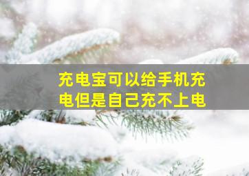 充电宝可以给手机充电但是自己充不上电