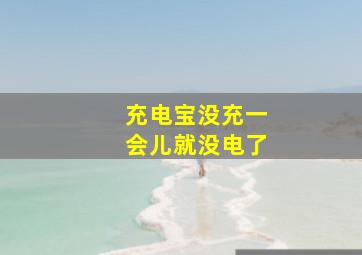 充电宝没充一会儿就没电了