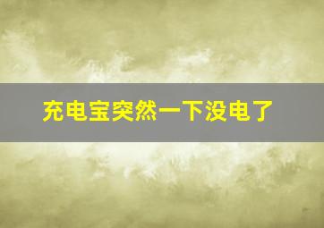 充电宝突然一下没电了