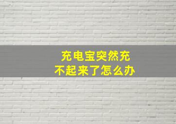 充电宝突然充不起来了怎么办