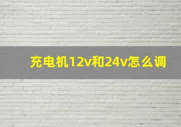 充电机12v和24v怎么调