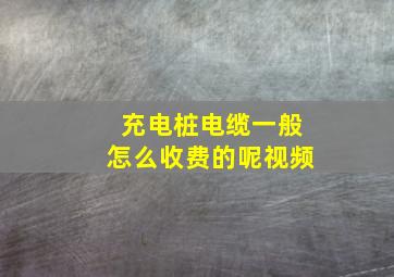 充电桩电缆一般怎么收费的呢视频