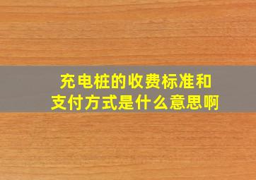 充电桩的收费标准和支付方式是什么意思啊