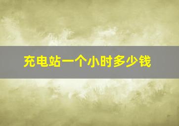 充电站一个小时多少钱