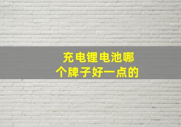 充电锂电池哪个牌子好一点的