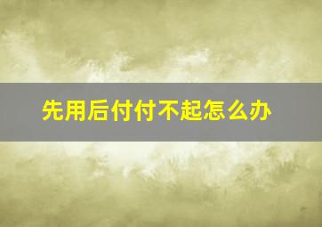 先用后付付不起怎么办