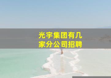 光宇集团有几家分公司招聘