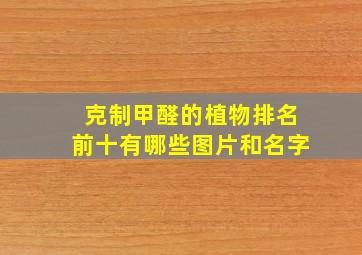 克制甲醛的植物排名前十有哪些图片和名字