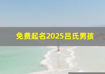 免费起名2025吕氏男孩