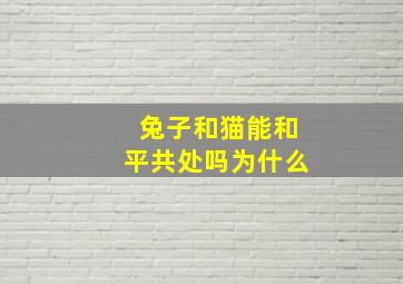 兔子和猫能和平共处吗为什么