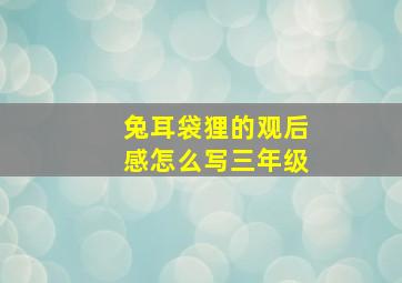 兔耳袋狸的观后感怎么写三年级