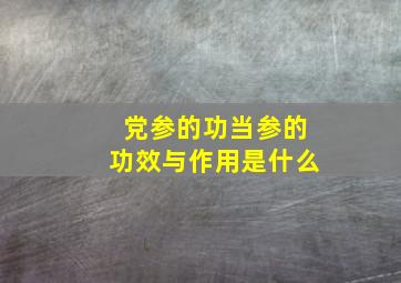 党参的功当参的功效与作用是什么