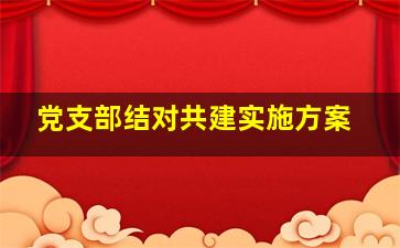 党支部结对共建实施方案