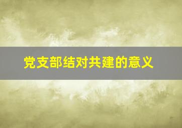 党支部结对共建的意义