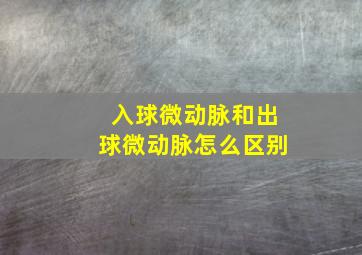 入球微动脉和出球微动脉怎么区别