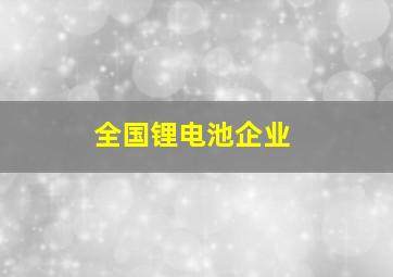 全国锂电池企业