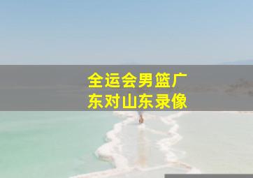 全运会男篮广东对山东录像