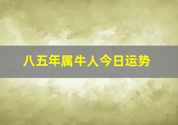 八五年属牛人今日运势