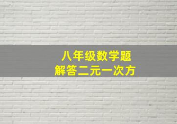 八年级数学题解答二元一次方