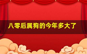 八零后属狗的今年多大了