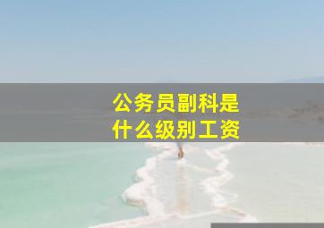 公务员副科是什么级别工资