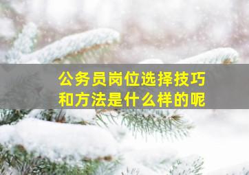 公务员岗位选择技巧和方法是什么样的呢