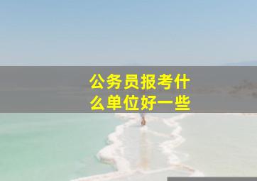 公务员报考什么单位好一些