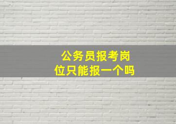 公务员报考岗位只能报一个吗