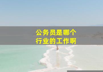 公务员是哪个行业的工作啊