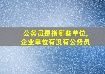 公务员是指哪些单位,企业单位有没有公务员