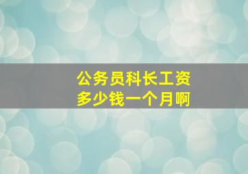 公务员科长工资多少钱一个月啊