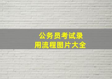 公务员考试录用流程图片大全