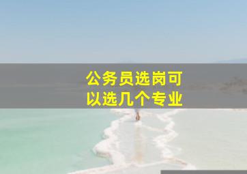 公务员选岗可以选几个专业