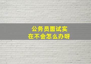 公务员面试实在不会怎么办呀