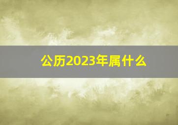 公历2023年属什么