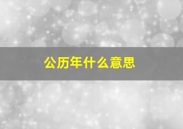 公历年什么意思