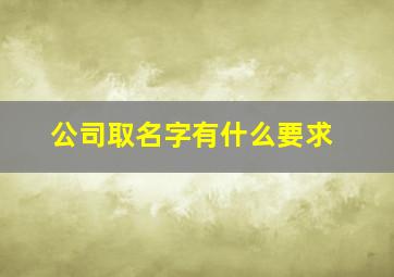 公司取名字有什么要求