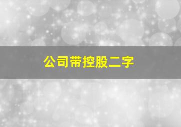 公司带控股二字