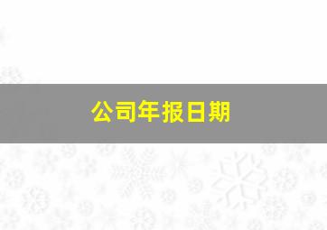 公司年报日期