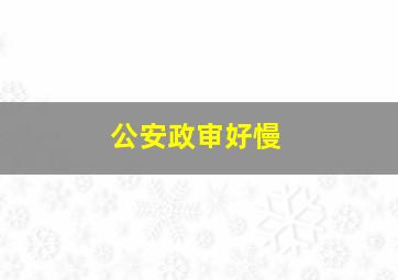 公安政审好慢