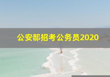 公安部招考公务员2020