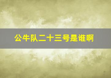 公牛队二十三号是谁啊