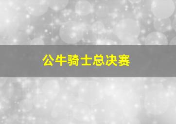 公牛骑士总决赛