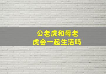 公老虎和母老虎会一起生活吗